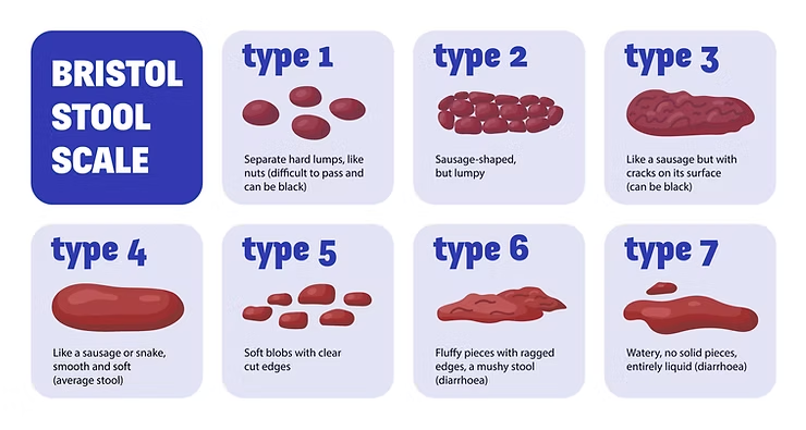 Como saber se meu intestino está funcionando corretamente?
